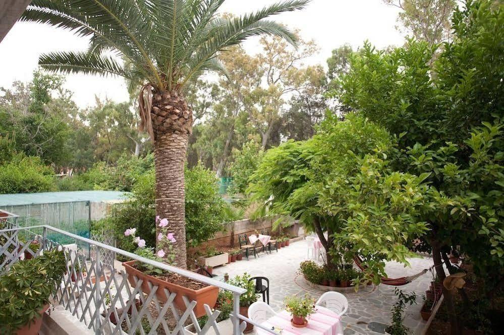 Veggie Garden Athens B&B Exterior foto
